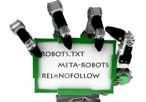 Cara Membuat File Robot.txt Sendiri