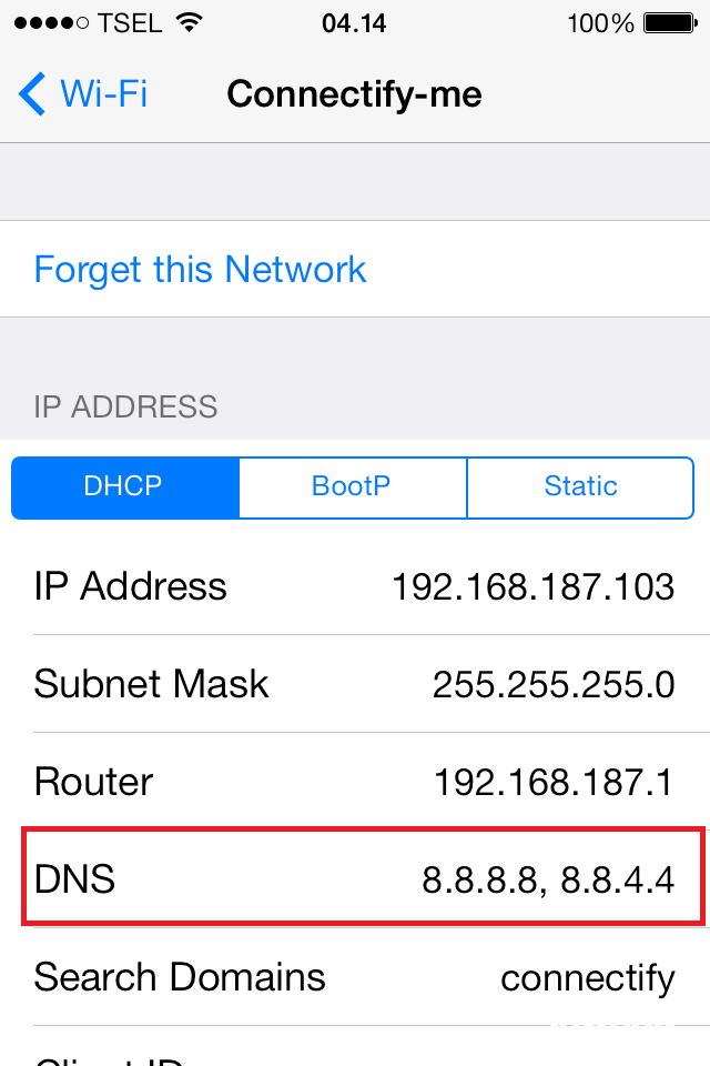 Cara Mengganti DNS di iOS iPhone iPad dan iPod 1