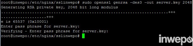 Cara Membuat dan Menginstall SSL di Nginx Debian 2