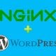 Cara Setting Nginx dan Install Wordpress di VPS