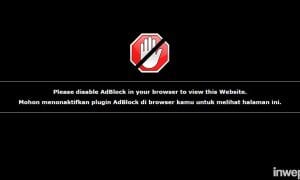 disable adblock plugin