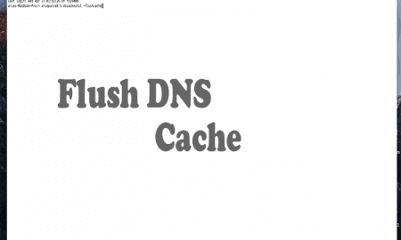 Flush DNS edit