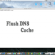 Flush DNS edit