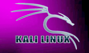 kali linux purple