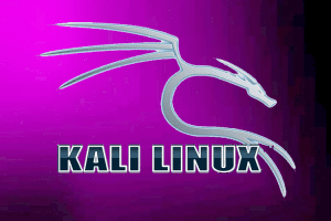 kali linux purple