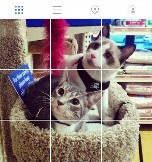 Cara Membuat Foto menjadi Beberapa Bagian Instagram Grid 1