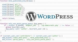 Cara Menghapus Menu All Published Draft Pending di User WordPress featured