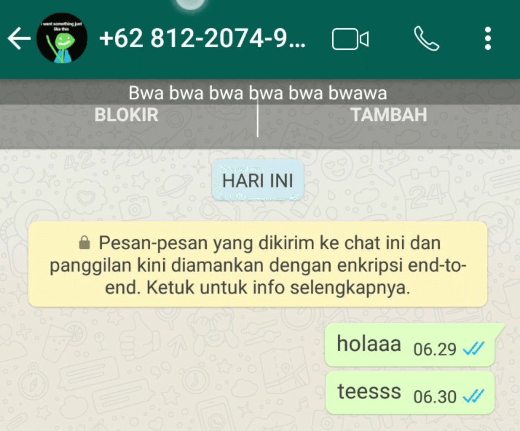 Cara Mengirim Pesan WhatsApp Tanpa Menyimpan Nomor 4