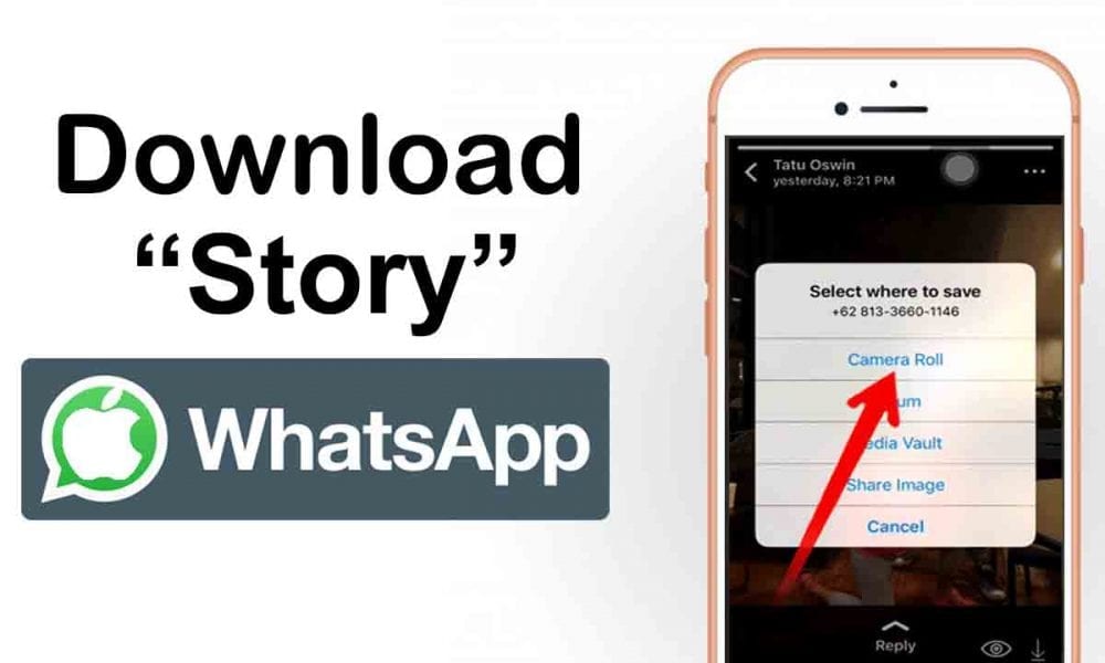 Cara Download Video Story Whatsapp Di Iphone Inwepo