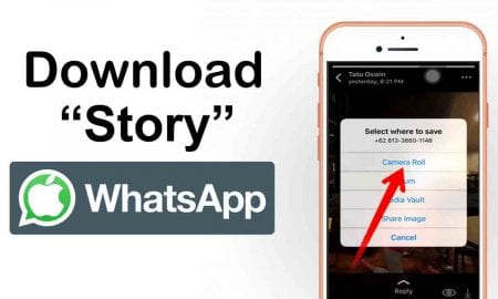 Cara Download Video Story WhatsApp di iPhone