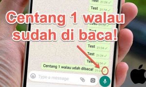 Cara Membaca Pesan WhatsApp Tanpa Diketahui Pengirim di iPhone