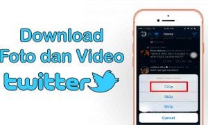 download foto video twitter di iphone