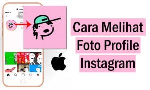 melihat foto profil di instagram