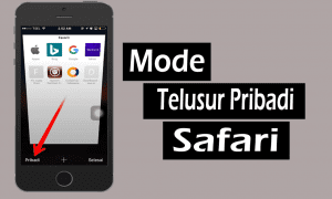 mode telusur web