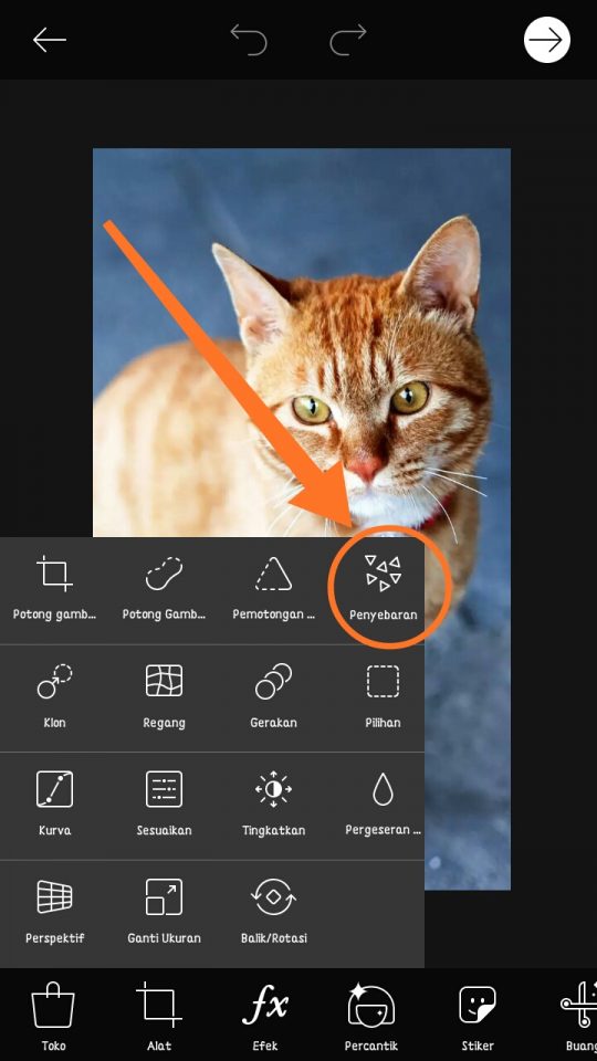 Cara Membuat Efek Serpihan pada Foto di Android 4