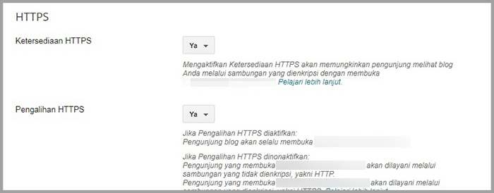 Cara Mengaktifkan HTTPS di Blogger untuk Custom Domain 4