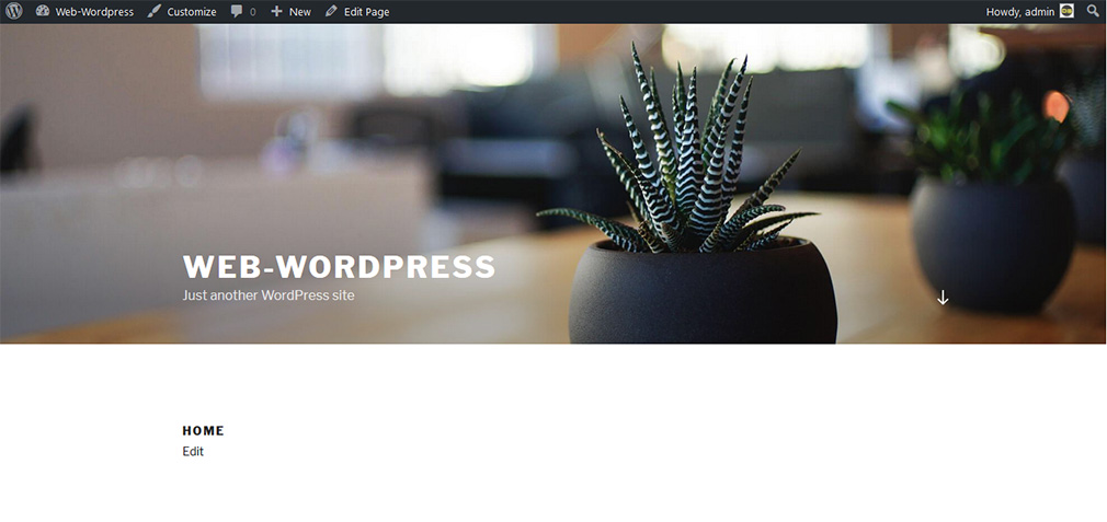 web wordpress