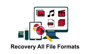 Cara Mudah Recovery File Yang Terhapus di Windows disk drill1