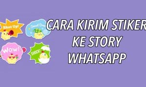 STORY