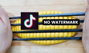 download video tiktok tanpa watermark