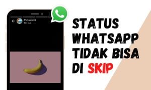 Status WhatsApp Tidak Bisa di Skip