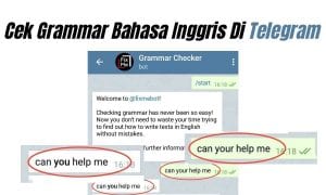 Cara Cek Grammar Bahasa Inggris Di Telegram