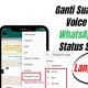 Cara Ganti Suara Unik Voice Note WhatsApp dan Status Splitter