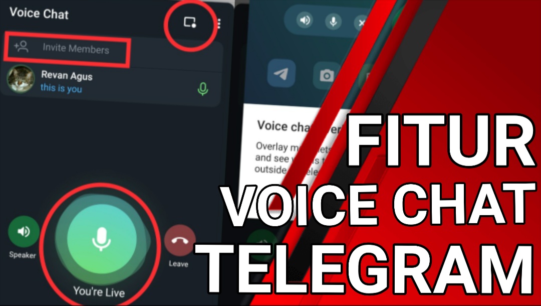 voice chat in telegram