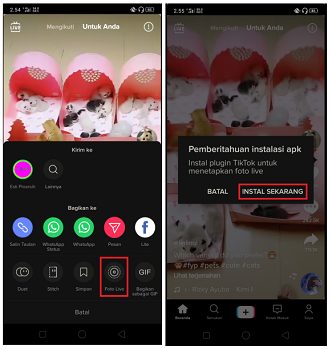 Cara Membuat Video Tik Tok Menjadi Live Wallpaper di Android