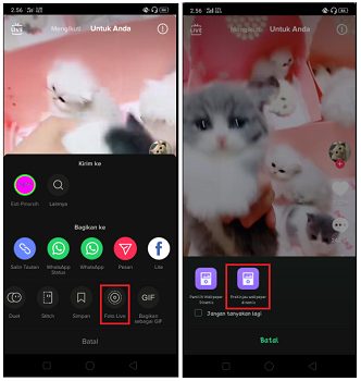 Cara Membuat Video Tik Tok Menjadi Live Wallpaper di Android