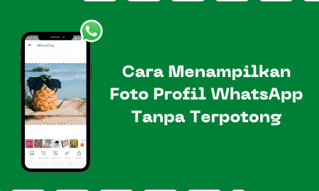 Cara Menampilkan Foto Profil WhatsApp Tanpa Terpotong