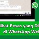 Cara Melihat Pesan yang Dihapus di WhatsApp Web