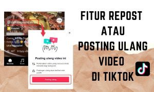 Cara Menggunakan Fitur Repost / Posting Ulang Video di TikTok