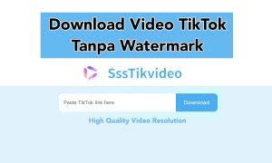 Cara Download Video TikTok Tanpa Watermark Menggunakan SssTikvideo