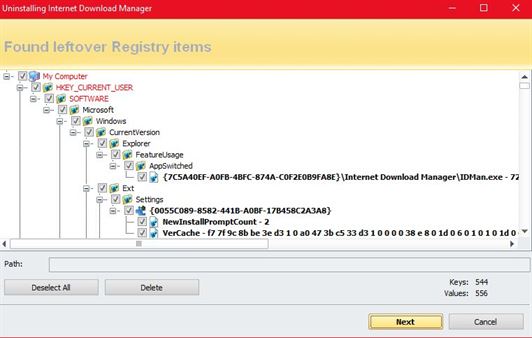 Uninstall Registry Items IDM