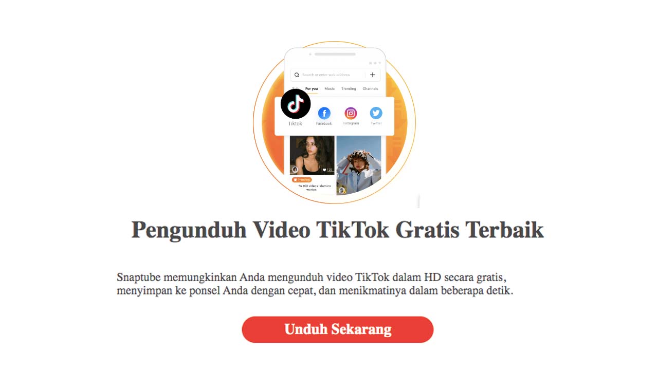 Cara Download Video TikTok Tanpa Watermark dan Tanpa Login