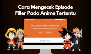 Cara Cek Episode Filler Pada Film Anime Tertentu