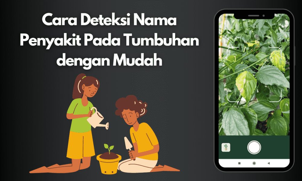 Cara Deteksi Nama Penyakit Pada Tumbuhan Dengan Mudah Di Android Inwepo