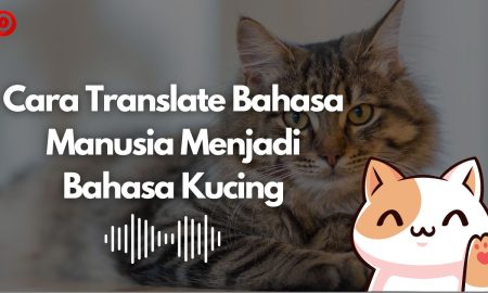 Cara Translate Bahasa Manusia Menjadi Bahasa Kucing