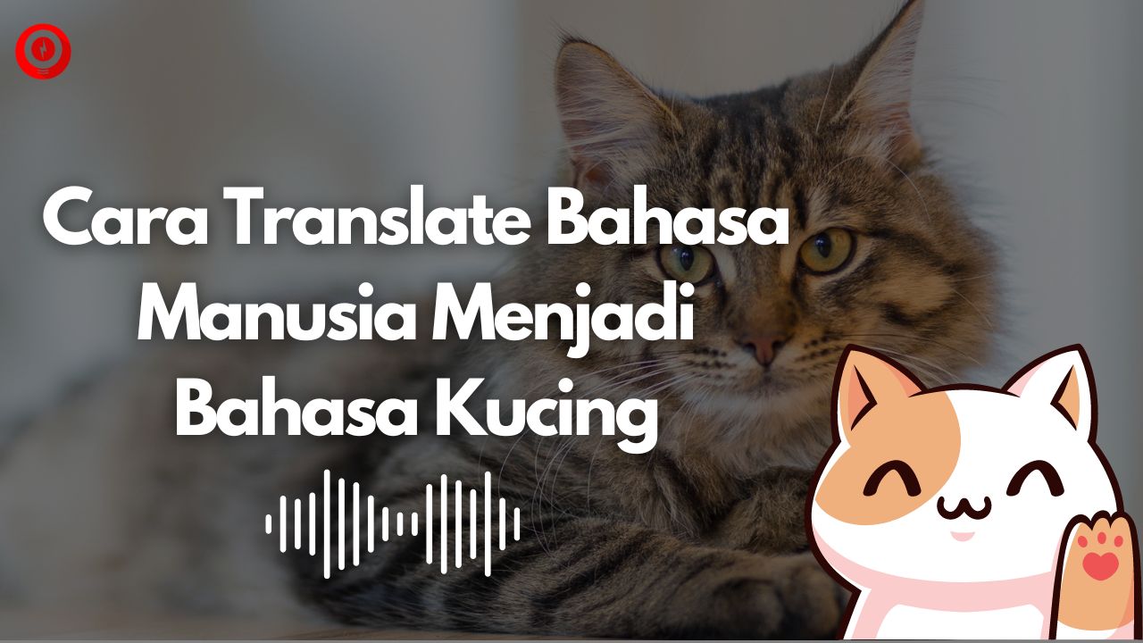 Cara Translate Bahasa Manusia Menjadi Bahasa Kucing